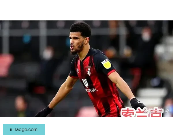 英超伯恩茅斯因战绩亮眼敲定全新赞助协议俱乐部商业价值持续攀升